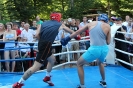 2012 День единения славян